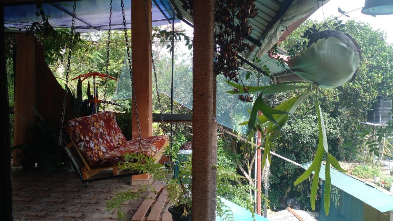 Secret View Homestay Ella Bagian luar foto